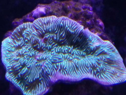 IMG_20160312_211116.jpg
