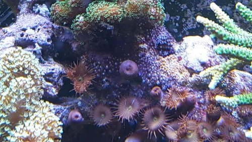 20160324_164344.jpg