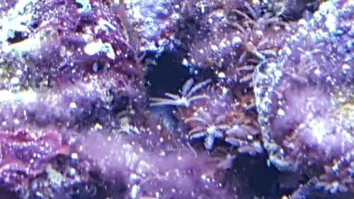 20160324_183843.jpg