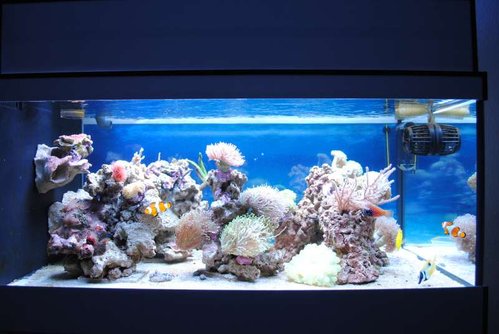 FTS