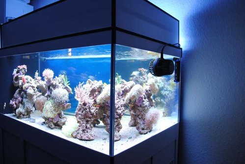 FTS