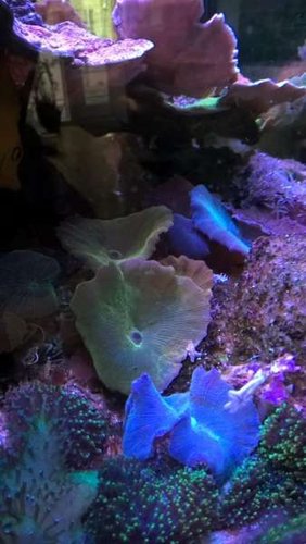 WP_20160328_17_27_26_Pro.jpg