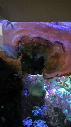 WP_20160328_17_27_46_Pro.jpg