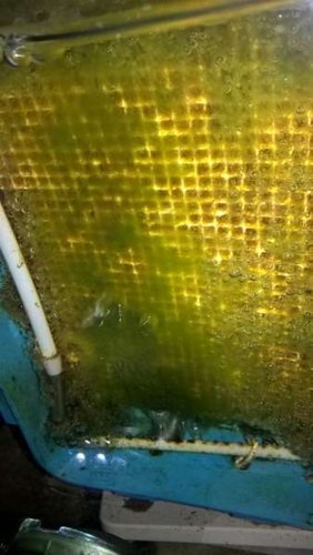 WP_20160328_17_29_14_Pro.jpg