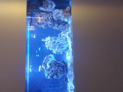 20160330_194714.jpg