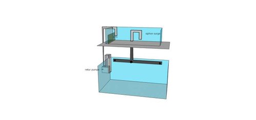 akvarium og sump og surge og ats.jpg