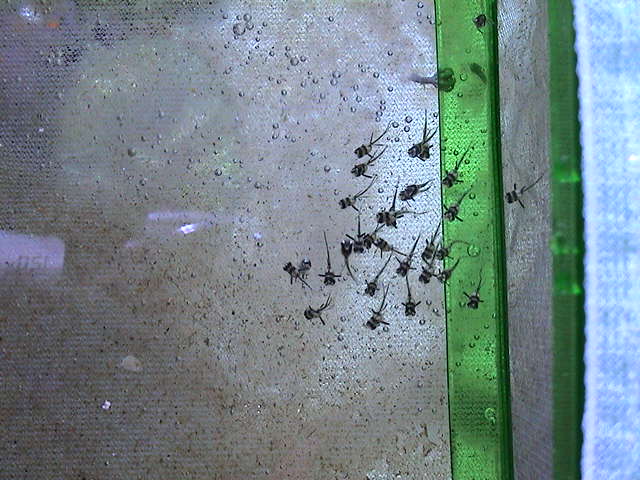 DSC00016.JPG