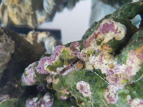 20160423_140250[1].jpg