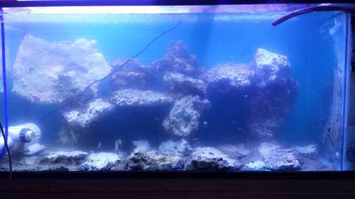 20160507_204934.jpg
