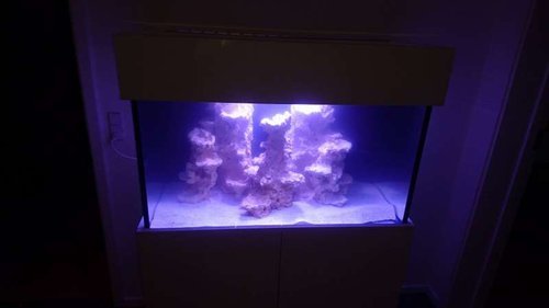 Aquascape2 .jpg