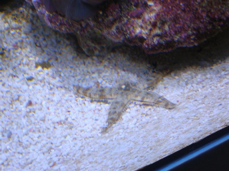 DSC00386.JPG