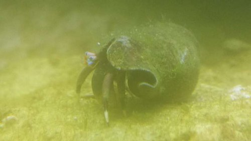 20160516_224637.jpg