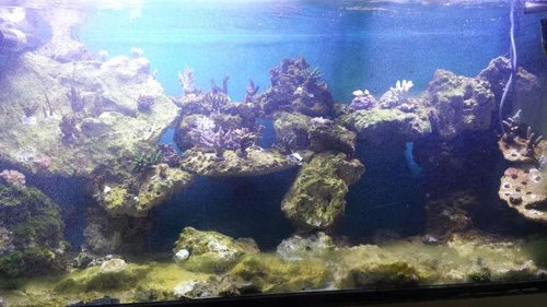 20160603_201031.jpg