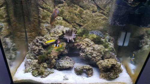 20160613_143228.jpg