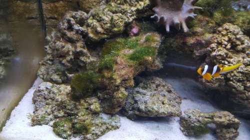 20160613_143232.jpg