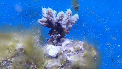 20160617_133143.jpg