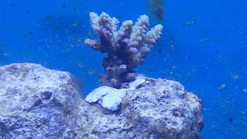 20160617_140735.jpg