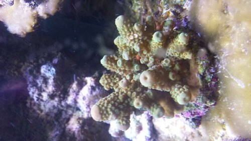 20160705_113616.jpg