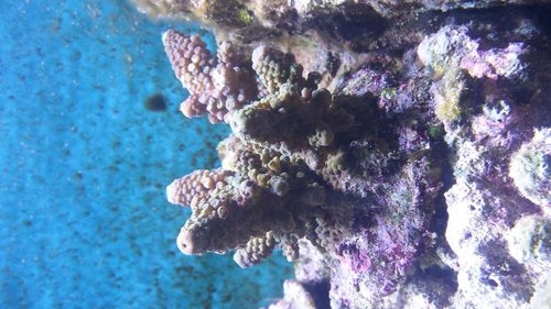 20160705_113712.jpg