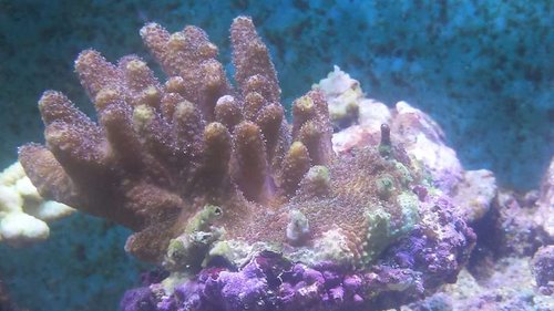 20160705_113726.jpg