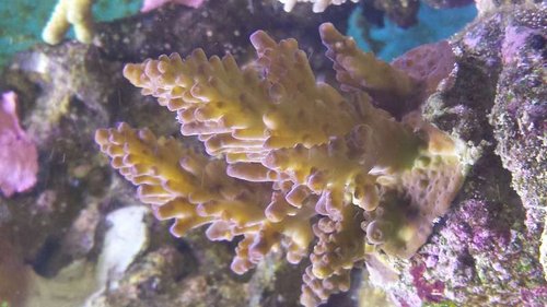 20160705_113735.jpg