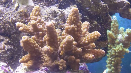 20160705_113749.jpg
