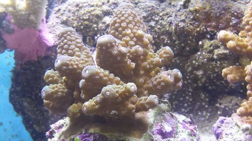 20160705_113806.jpg