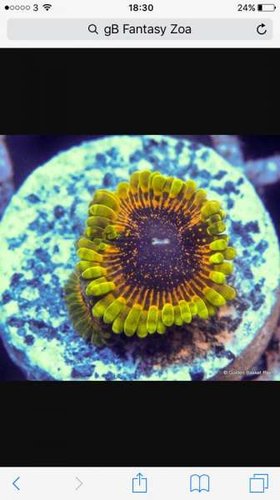 13443998_10153585958620913_2138893237_n.jpg (25.04 KiB) Vist 6333 gange GB Fantasy