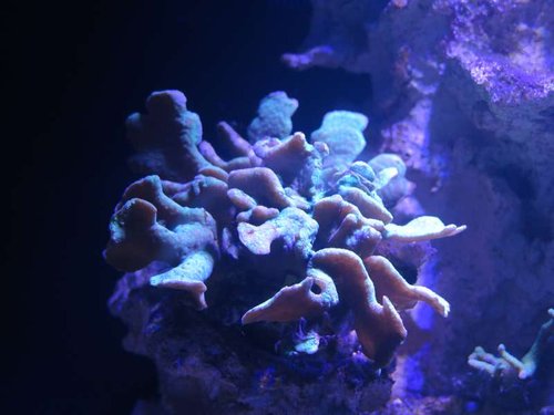 IMG_0045.JPG