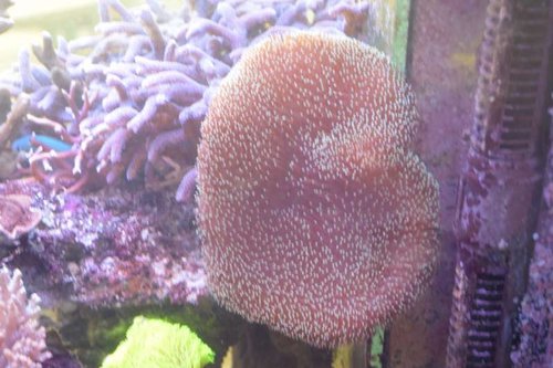 thumb_DSC_0181_1024.jpg