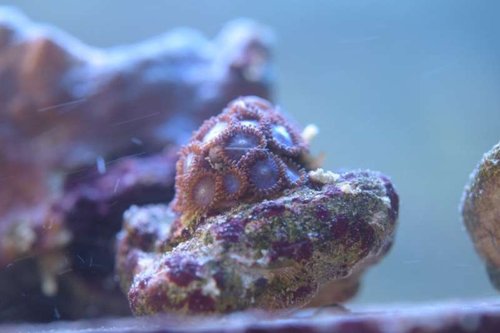 thumb_DSC_0217_1024.jpg