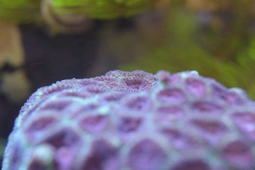 thumb_DSC_0225_1024.jpg