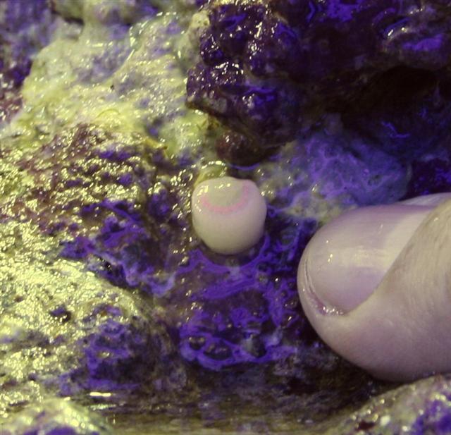 IMG_2791 (Small).JPG