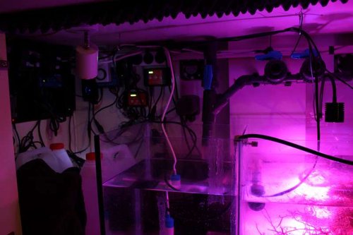 sump2.jpg