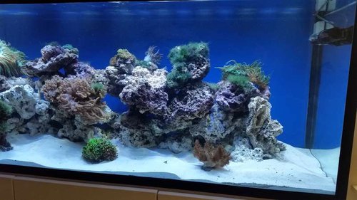 2016-08-01 18.23.54.jpg