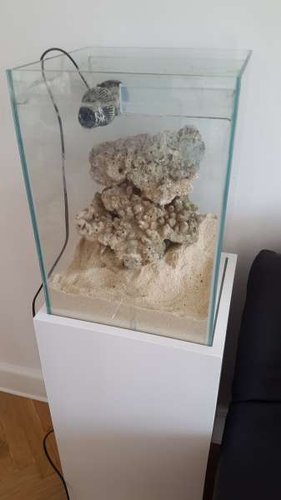 20160804_165921.jpg