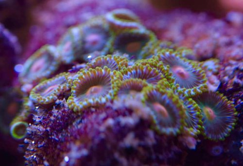 DSC_0474.jpg