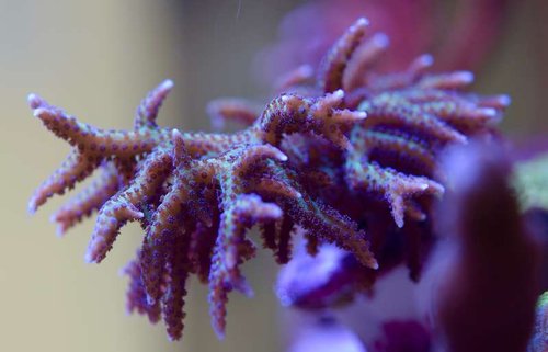DSC_0479.jpg