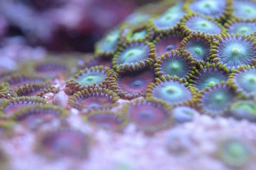 DSC_0492.jpg