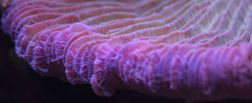DSC_0521.jpg