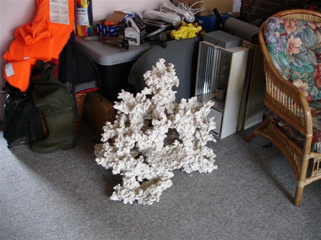 DSC09409 (Small).JPG