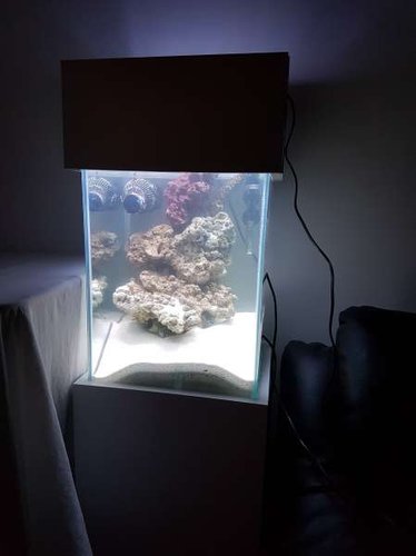 20160820_214348.jpg