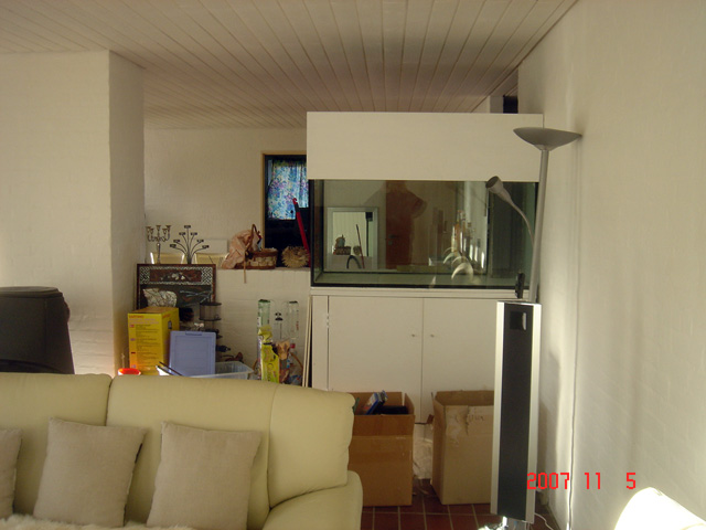 DSC07986.jpg