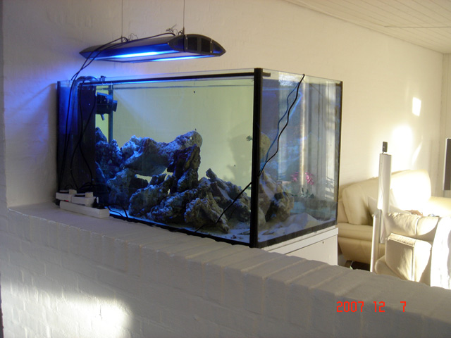 DSC08098.jpg