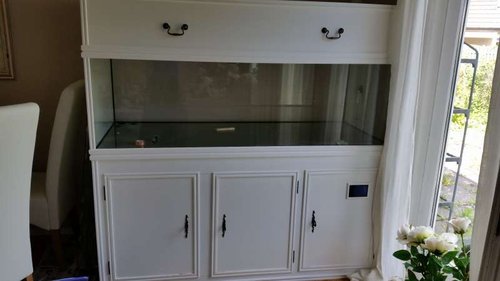 20160819_140905.jpg