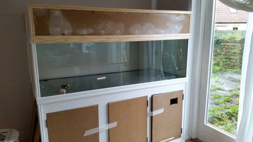 20160809_202207.jpg