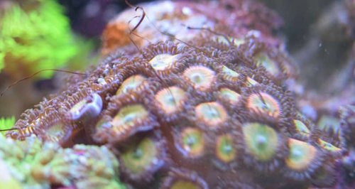 DSC_1066.jpg