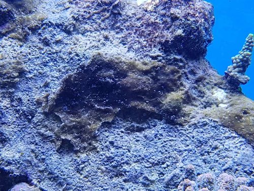 20161006_211032.jpg