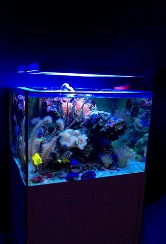 IMG_7154.JPG