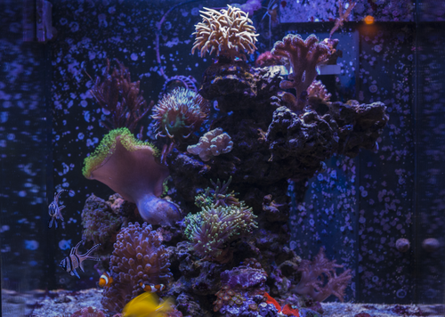 FTS.png